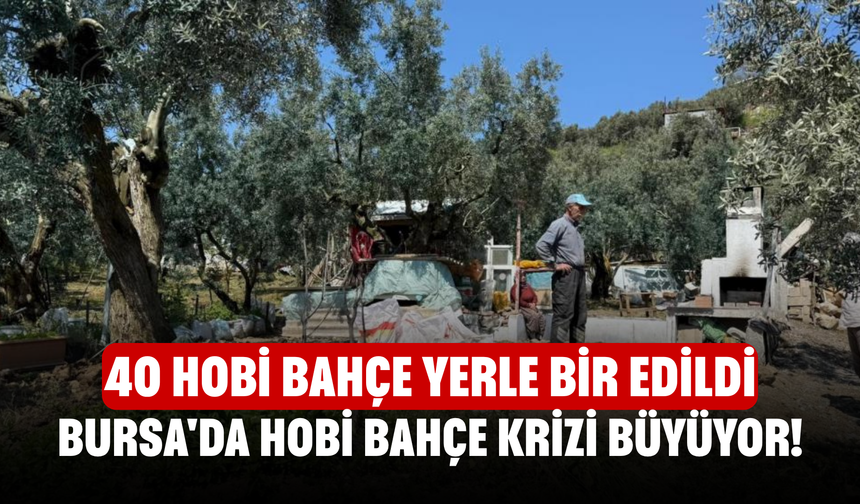 Bursa'da Hobi Bahçe Krizi Büyüyor! 40 Hobi Bahçe Yerle Bir Edildi