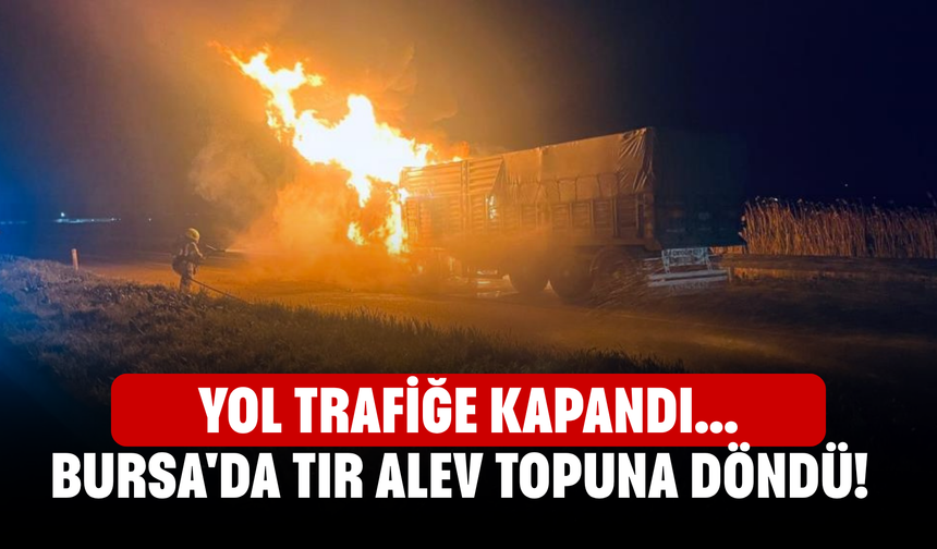 Bursa'da tır alev topuna döndü! Yol trafiğe kapandı...