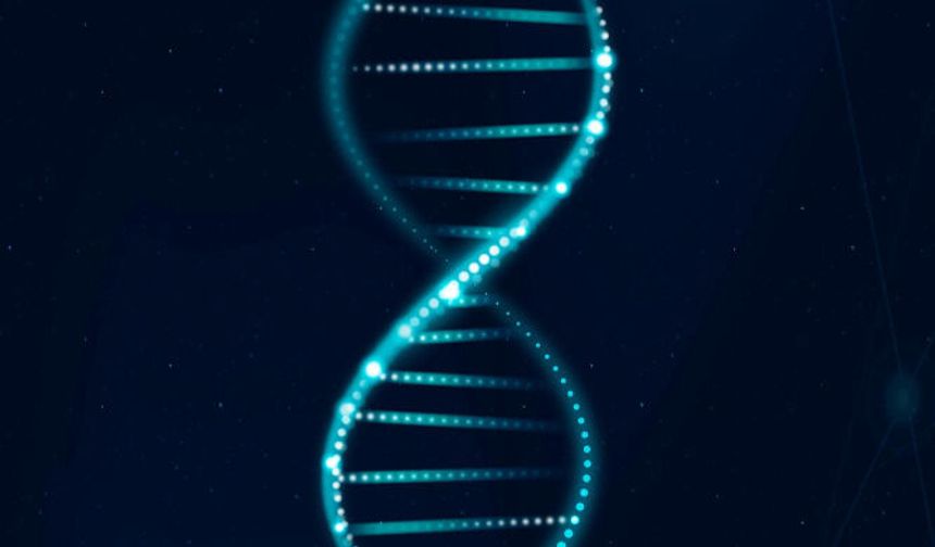 Çocuk Anne Karnında İken DNA Testi Yapılabilir mi? Anne Karnında Babalık Testi
