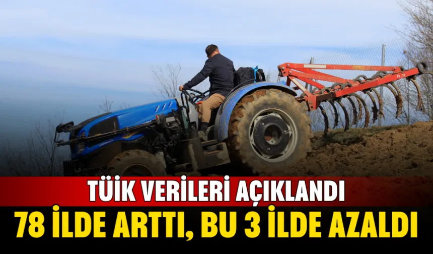 TÜİK verileri açıklandı! 78 ilde arttı, bu 3 ilde azaldı