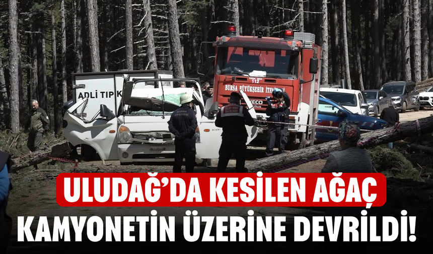 Uludağ’da kesilen ağaç kamyonetin üzerine devrildi! 1 ölü, 2 yaralı