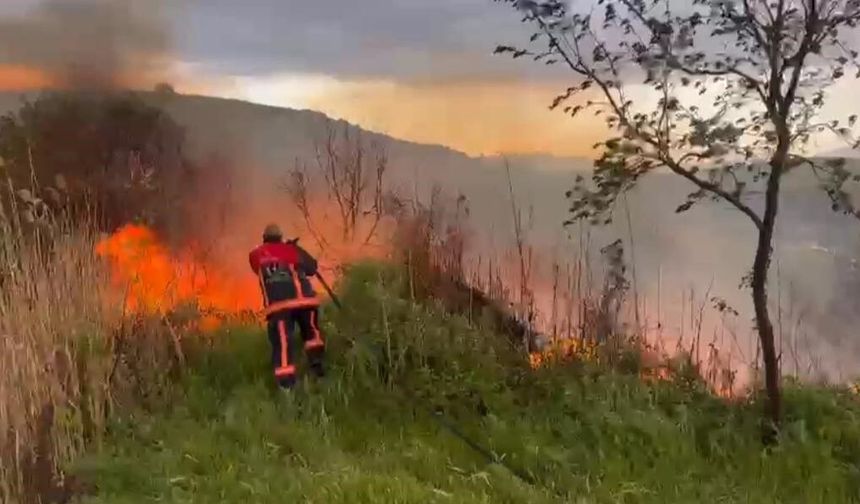 Elazığ Kovancılar’da Otluk Alanda Yangın Paniği