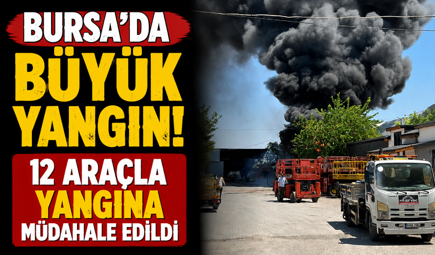 Bursa'da büyük yangın! 12 araçla yangına müdahale edildi