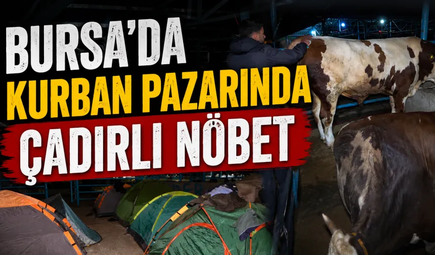 Bursa’da kurban pazarında çadırlı nöbet