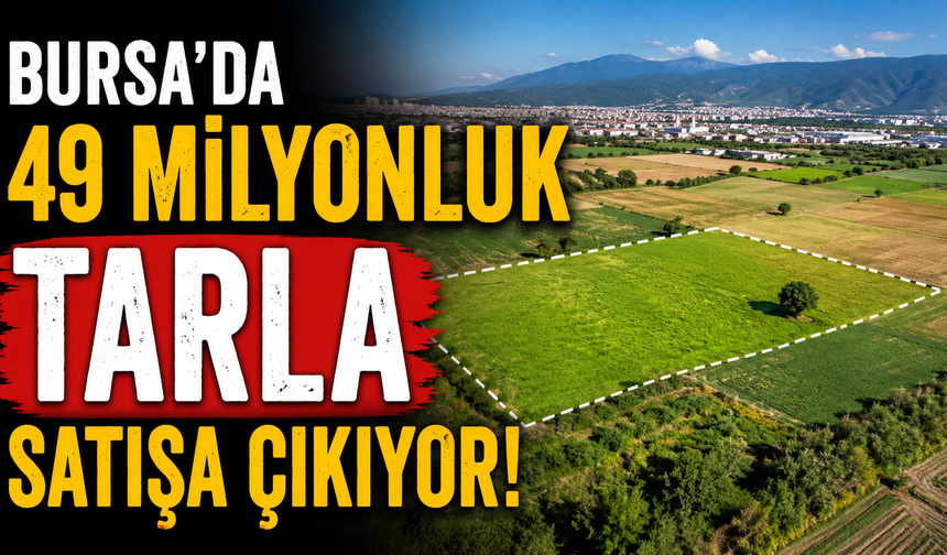 Bursa’da 49 Milyonluk Tarla Satışa Çıkıyor!