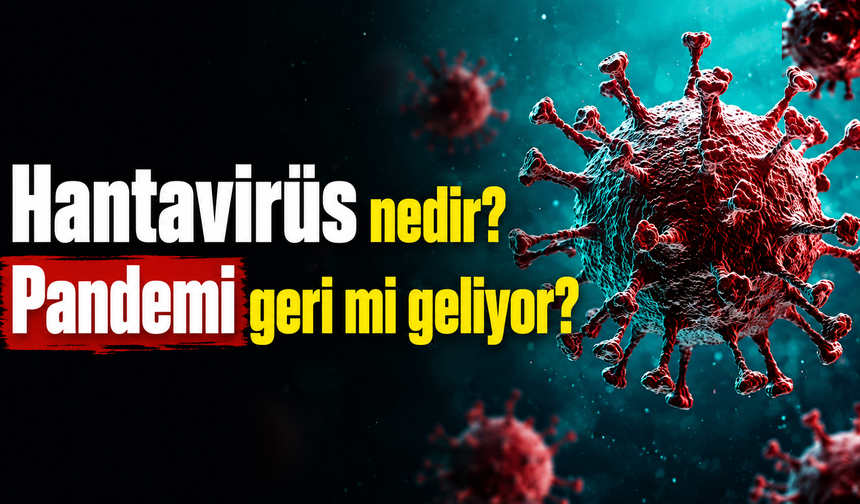 Hantavirüs nedir? Pandemi geri mi geliyor?