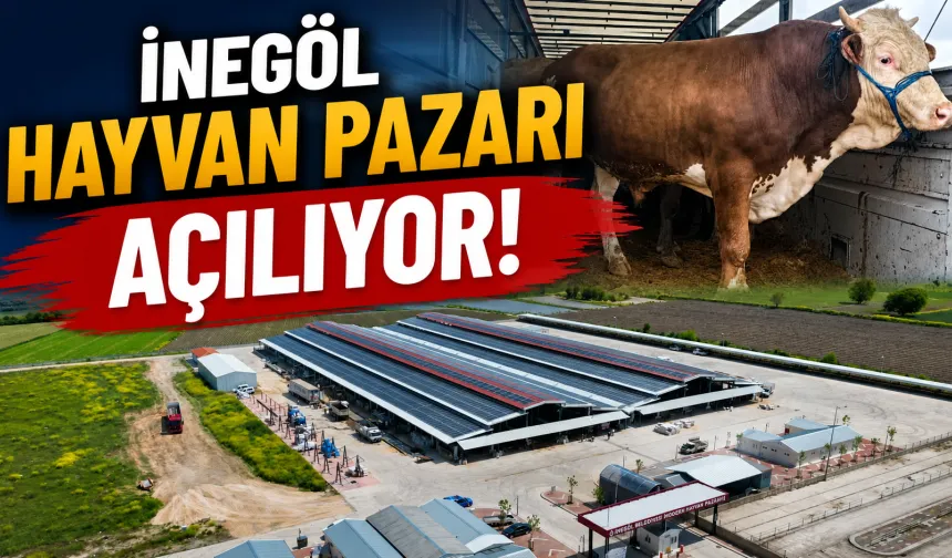 Başkan Taban Duyurdu! İnegöl Hayvan Pazarı Açılıyor
