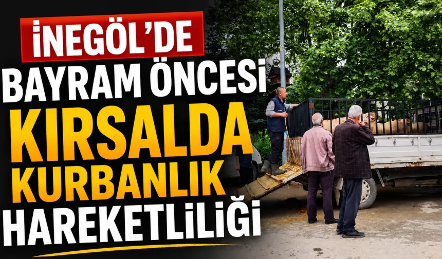 İnegöl’de Bayram Öncesi Kırsalda Kurbanlık Hareketliliği