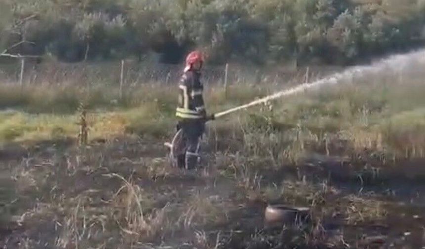 Tankerin lastiklerinden çıkan yangın zeytin bahçesine sıçradı