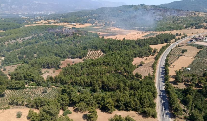 Muğla’daki Orman Yangını Kontrol Altına Alındı