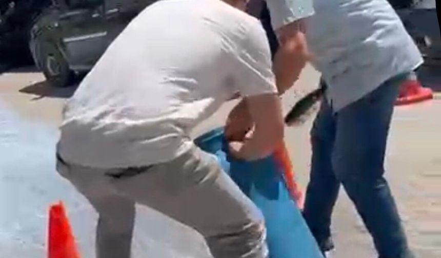Bursa'da belediye önüne süt dökme eyleminin ardındaki gerçek ortaya çıktı
