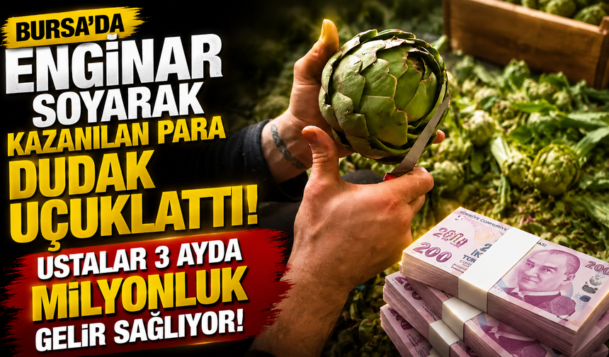 Bursa’da enginar soyarak kazanılan para dudak uçuklattı! Ustalar 3 ayda milyonluk gelir sağlıyor.