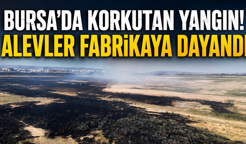Bursa'da Korkutan Yangın! Alevler Fabrikaya Dayandı