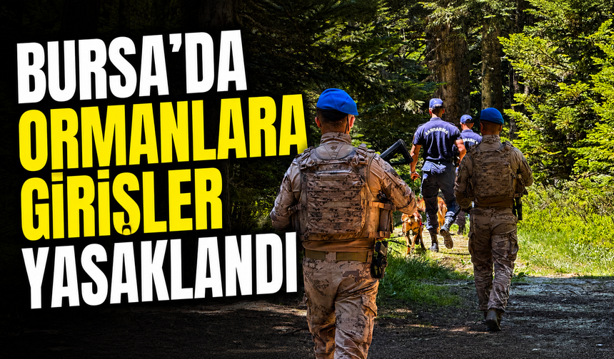 Bursa'da ormanlara girişler yasaklandı