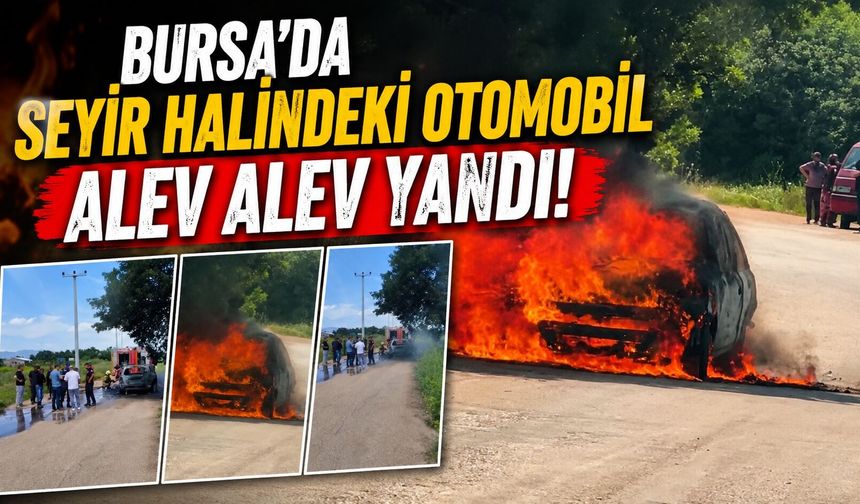 Bursa’da Kestel'de otomobil alevlere teslim oldu