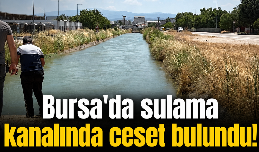 Bursa'da sulama kanalında ceset bulundu!