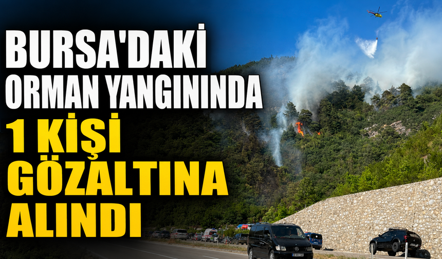 Bursa'daki orman yangınında 1 kişi gözaltına alındı