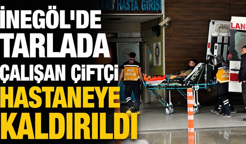 İnegöl’de Tarlada Çalışan Çiftçi Hastaneye Kaldırıldı