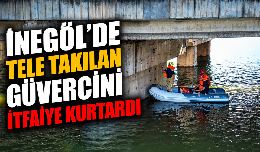 İnegöl’de Tele Takılan Güvercini İtfaiye Kurtardı