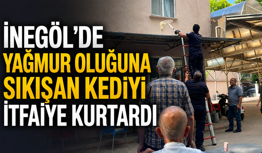 İnegöl’de Yağmur Oluğuna Sıkışan Kediyi İtfaiye Kurtardı