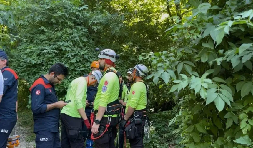 Bursa’da Ihlamur Toplamaya Giden Yaşlı Adam Hayatını Kaybetti
