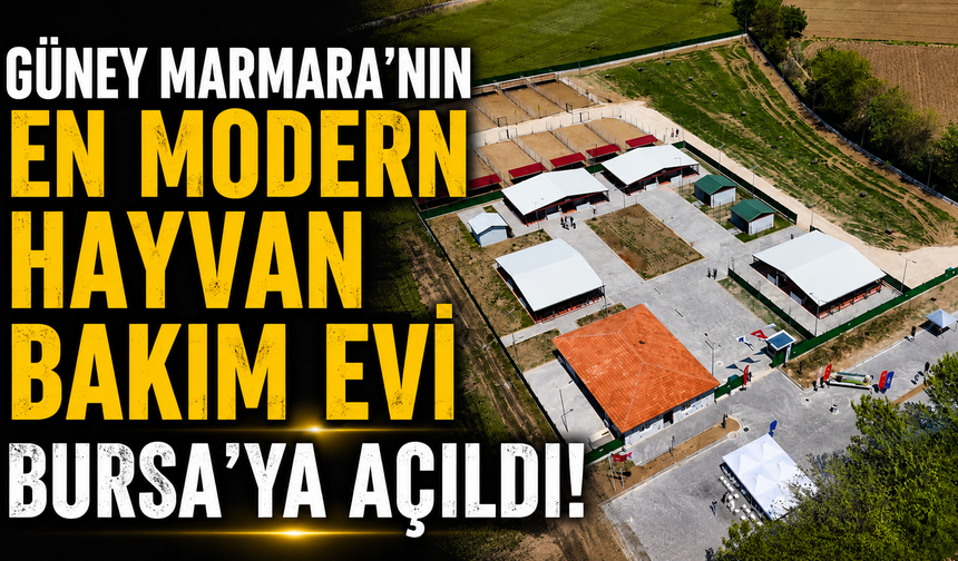 Güney Marmara'nın en modern hayvan bakım evi Bursa'ya açıldı!