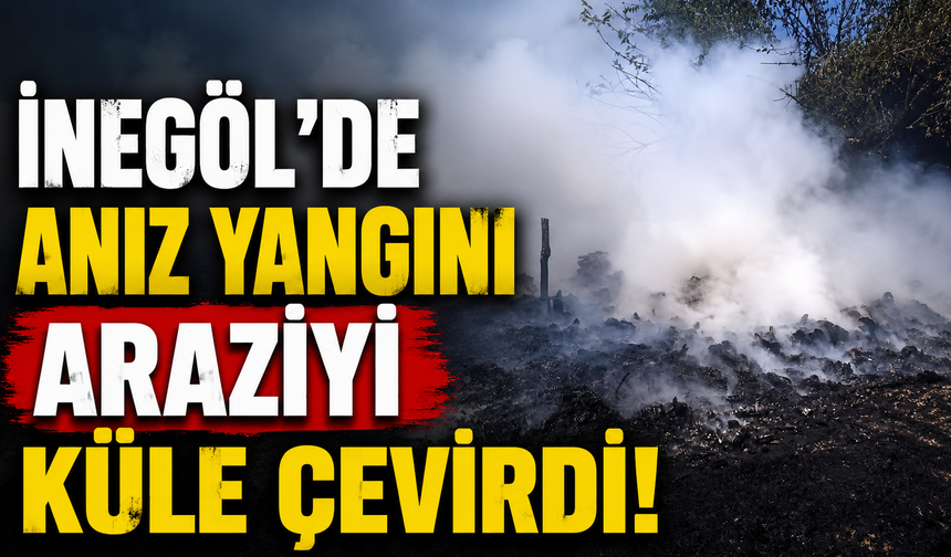 İnegöl'de Anız Yangını Araziyi Küle Çevirdi!