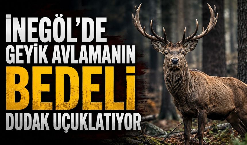 İnegöl'de Geyik Avlamanın bedeli dudak uçuklatıyor