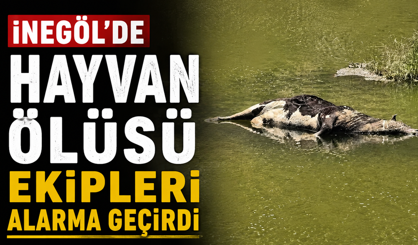 İnegöl'de hayvan ölüsü ekipleri alarma geçirdi