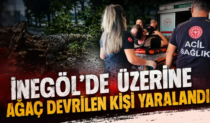 İnegöl’de Üzerine Ağaç Devrilen Kişi Yaralandı
