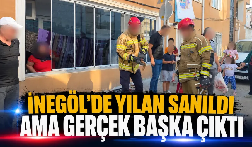 İnegöl'de yılan sanıldı ama gerçek başka çıktı