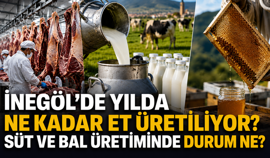 İnegöl’de yılda ne kadar et üretiliyor? Süt ve bal üretiminde durum ne?
