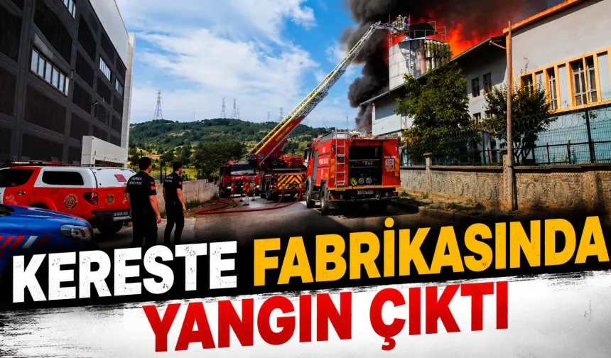 Kereste Fabrikasında Yangın Çıktı