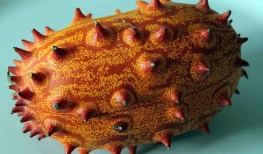 Dışı Dikenli, İçi Zümrüt Yeşili! Son Dönemin Gözde Meyvesi Kiwano Nedir, Faydaları Nelerdir?