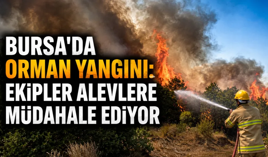 Bursa’da Orman Yangını: Ekipler Alevlere Müdahale Ediyor