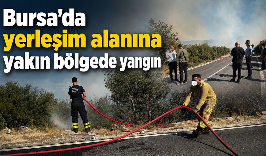 Bursa'da yerleşim alanına yakın bölgede yangın