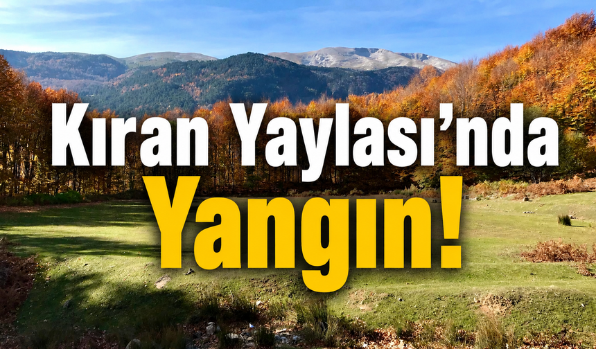 Kıran Yaylası’nda Yangın!