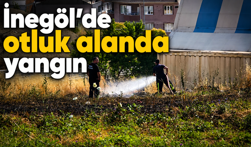 İnegöl’de otluk alanda yangın