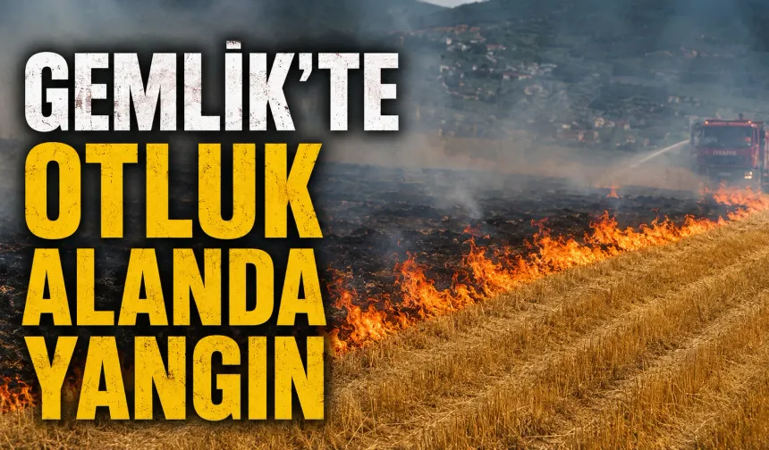 Gemlik’te Otluk Alanda Yangın