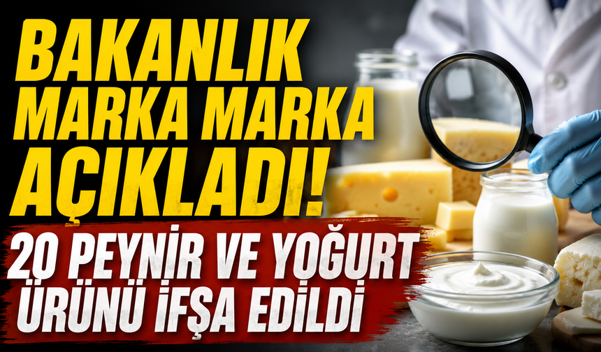 Bakanlık marka marka açıkladı! 20 peynir ve yoğurt ürünü ifşa edildi