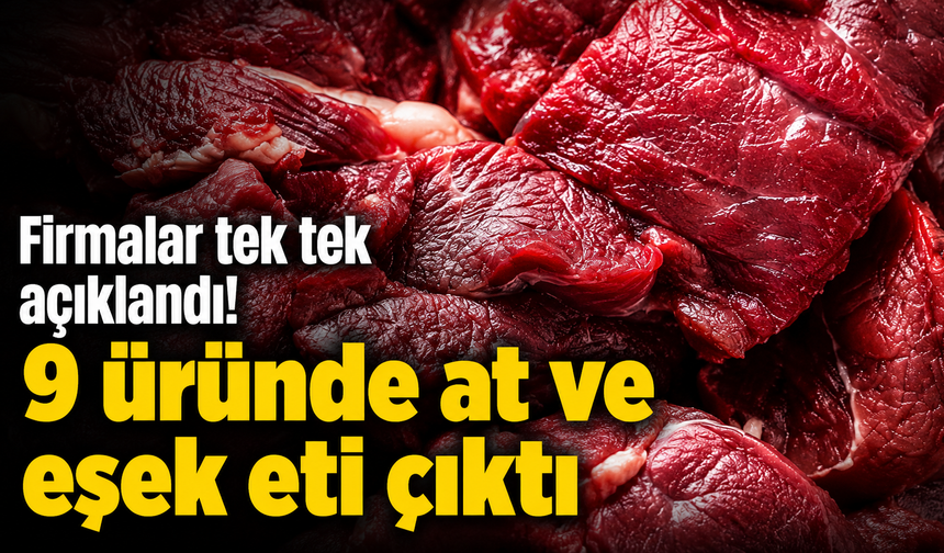 Firmalar tek tek açıklandı! 9 üründe at ve eşek eti çıktı