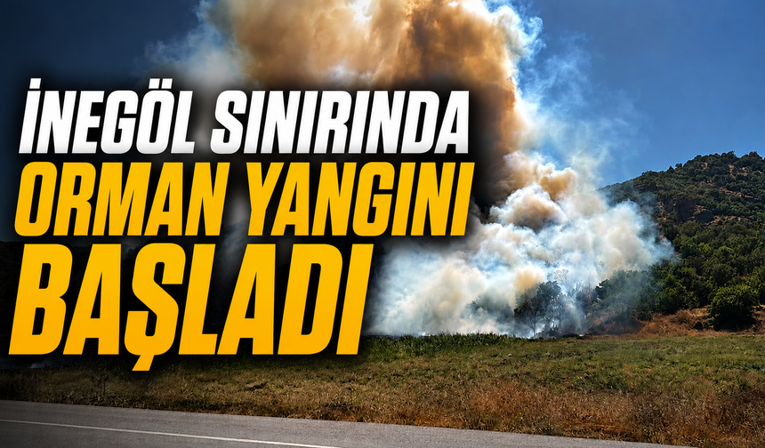 İnegöl Sınırında Orman Yangını Başladı