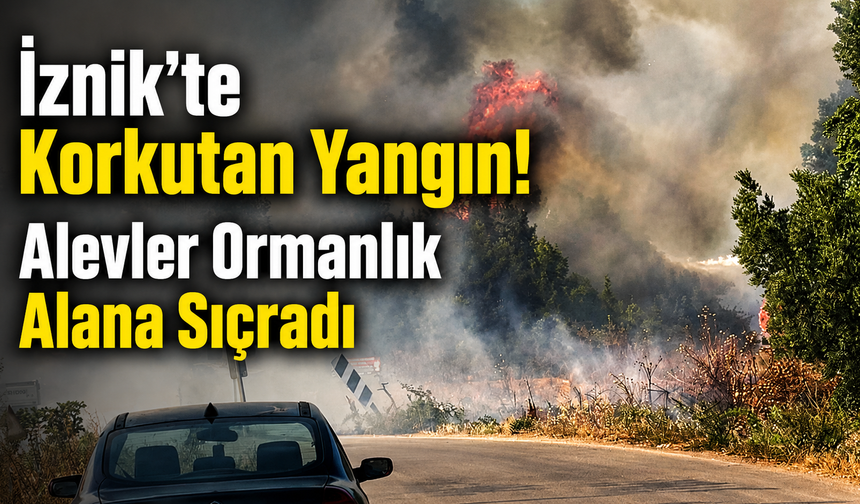 İznik'te Korkutan Yangın! Alevler Ormanlık Alana Sıçradı