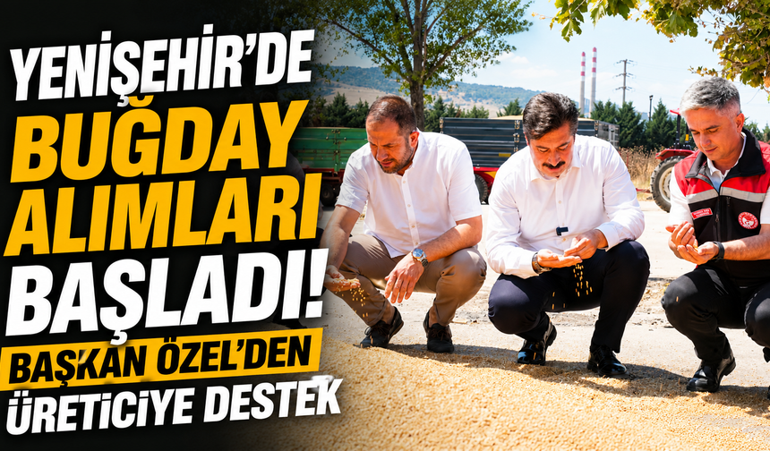 Yenişehir’de Buğday Alımları Başladı! Başkan Özel’den Üreticiye Destek