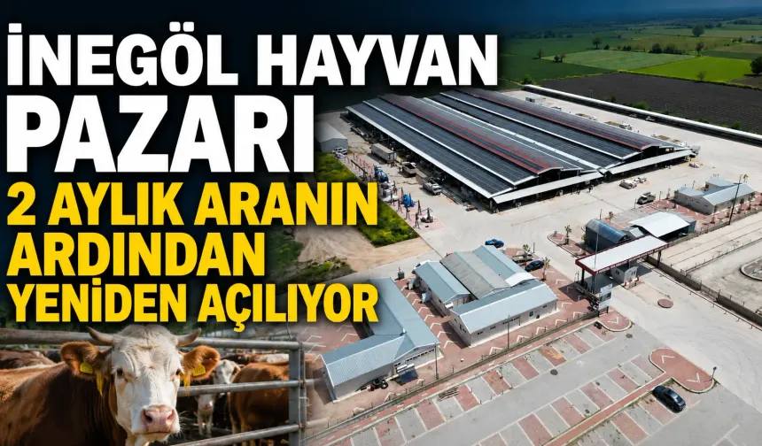 İnegöl Hayvan Pazarı 2 aylık aranın ardından yeniden açılıyor
