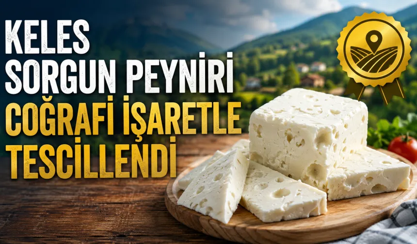 Keles Sorgun peyniri coğrafi işaretle tescillendi