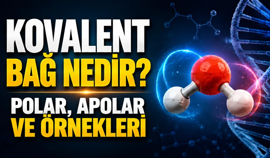 Atomları Birbirine Bağlayan Güç! Kovalent Bağ Nedir, Polar ve Apolar Bağ Arasındaki Fark Ne?
