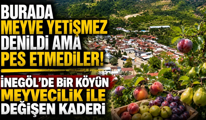 Burada meyve yetişmez denildi ama pes etmediler! İnegöl'de bir köyün meyvecilik ile değişen kaderi