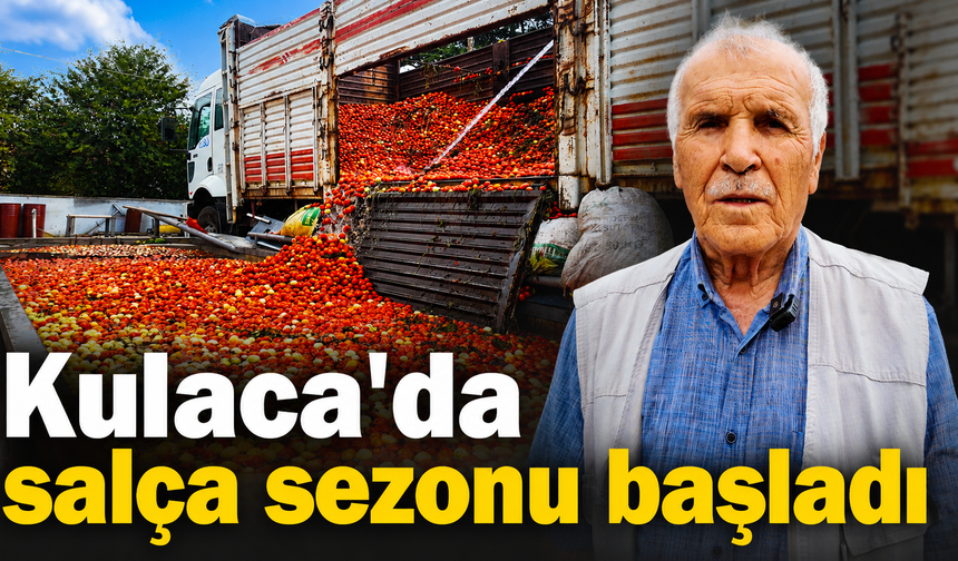 Kulaca'da salça sezonu başladı