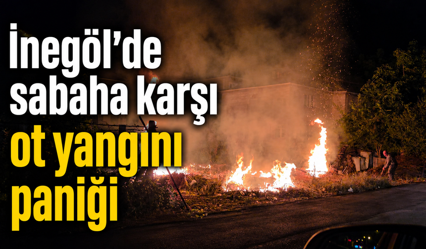 İnegöl’de sabaha karşı ot yangını paniği